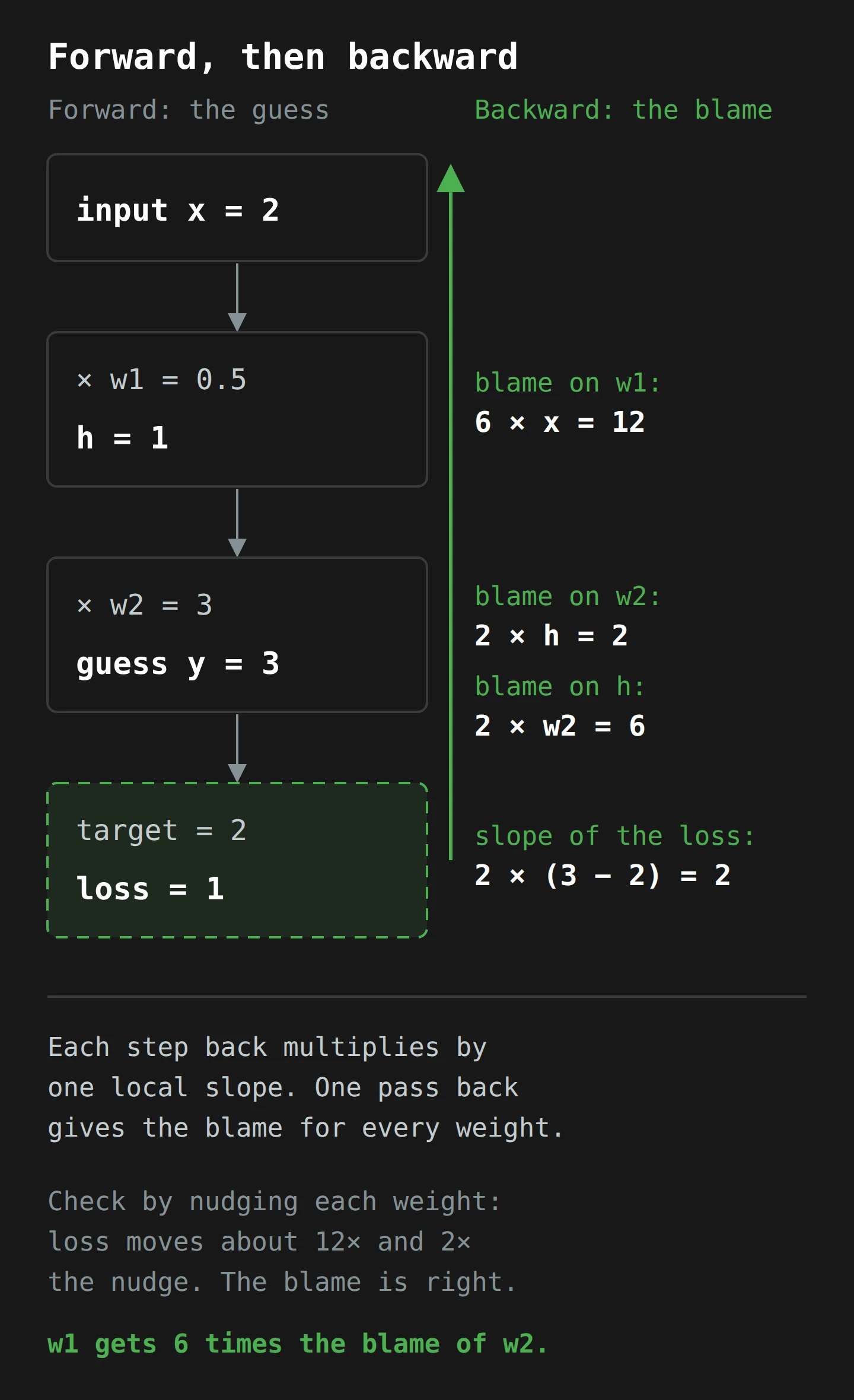 Left, a forward pass down a column: input x equals 2, times w1 of 0.5 gives h equals 1, times w2 of 3 gives a guess of 3, against a target of 2, for a loss of 1. Right, a green arrow runs back up: the slope of the loss is 2, the blame on w2 is 2, the blame on h is 6, and the blame on w1 is 12. One backward pass gives the blame for both weights, and nudging each weight confirms it.