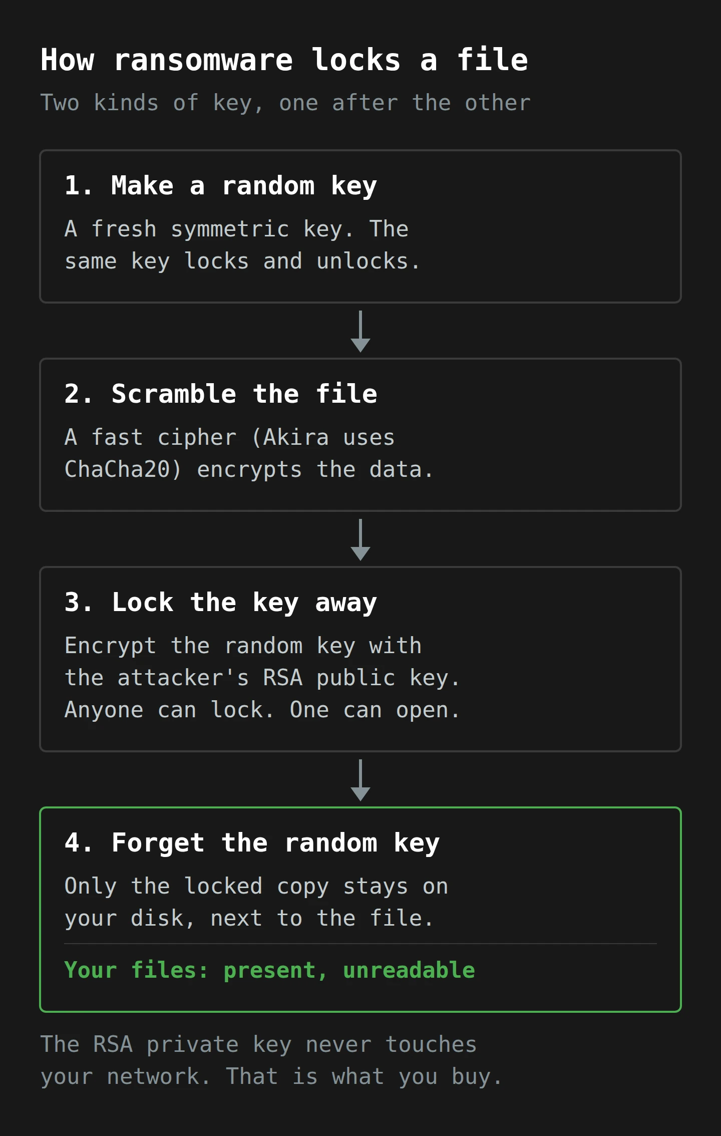 Four steps. The malware makes a random symmetric key, scrambles the file with a fast cipher such as ChaCha20, locks the random key with the attacker's RSA public key, then forgets the unlocked key. The file stays on your disk but cannot be read. Only the attacker's private key, which never touches your network, can unlock it.